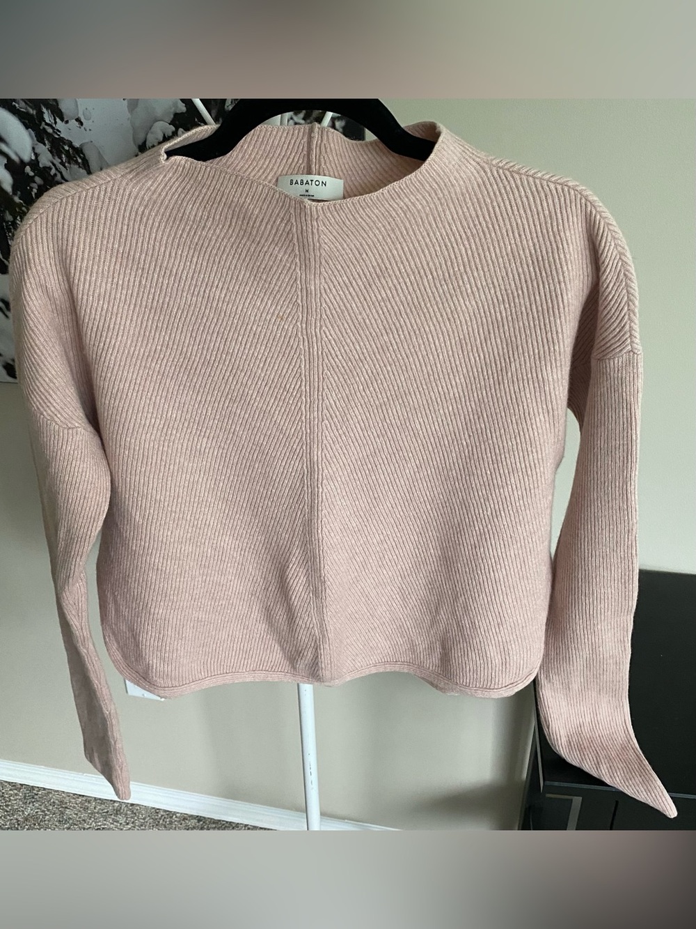 Babaton Soft Blush Ribbed Scoop-Neck Sweater Cropped